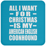 All I Want For Christmas Is My American English Coonhound - Coaster