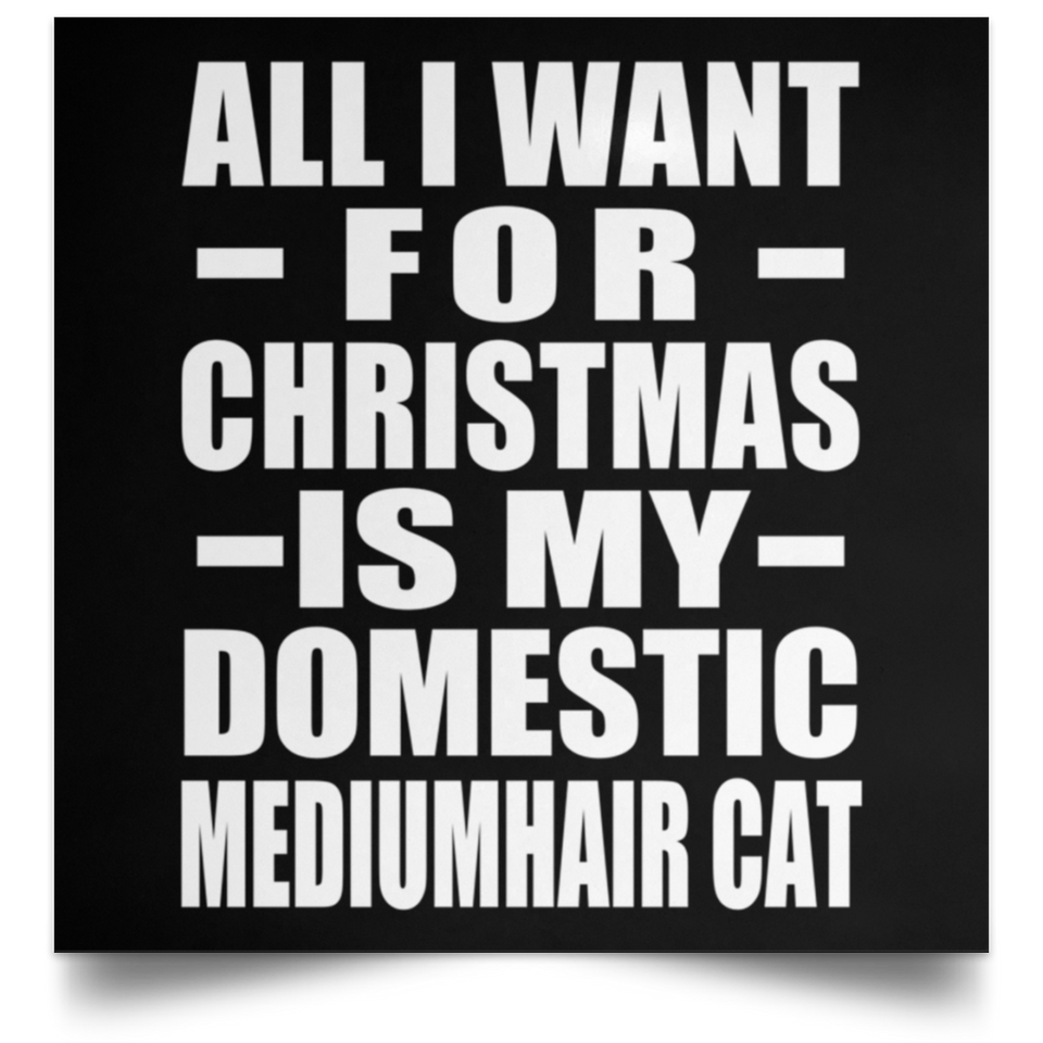All I Want For Christmas Is My Domestic Mediumhair Cat - Poster Square