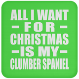 All I Want For Christmas Is My Clumber Spaniel - Coaster