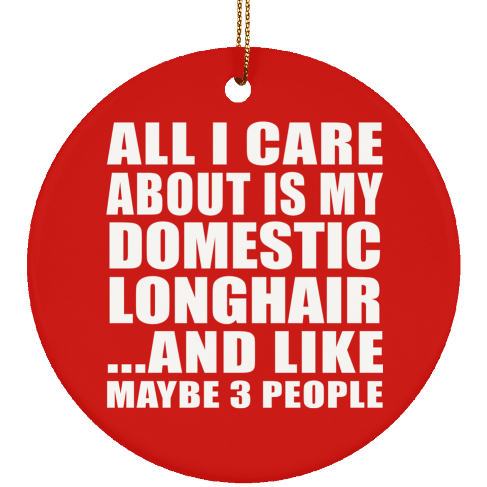 All I Care About Is My Domestic Longhair - Circle Ornament