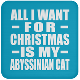 All I Want For Christmas Is My Abyssinian Cat - Coaster