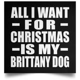All I Want For Christmas Is My Brittany Dog - Poster Square