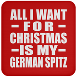 All I Want For Christmas Is My German Spitz - Coaster