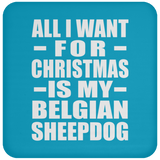 All I Want For Christmas Is My Belgian Sheepdog - Coaster