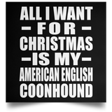 All I Want For Christmas Is My American English Coonhound - Poster Square