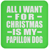 All I Want For Christmas Is My Papillon Dog - Coaster