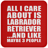 All I Care About Is Labrador Retriever - Drink Coaster