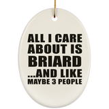 All I Care About Is Briard - Oval Ornament