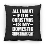 All I Want For Christmas Is My Domestic Shorthair Cat - Throw Pillow Black