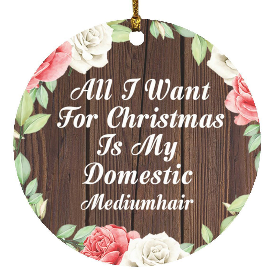 All I Want For Christmas Is My Domestic Mediumhair - Circle Ornament A