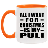 All I Want For Christmas Is My Puli - 11oz Accent Mug Orange
