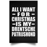 All I Want For Christmas Is My Drentsche Patrijshond - Poster Portrait