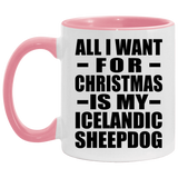 All I Want For Christmas Is My Icelandic Sheepdog - 11oz Accent Mug Pink