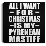 All I Want For Christmas Is My Pyrenean Mastiff - Canvas Square