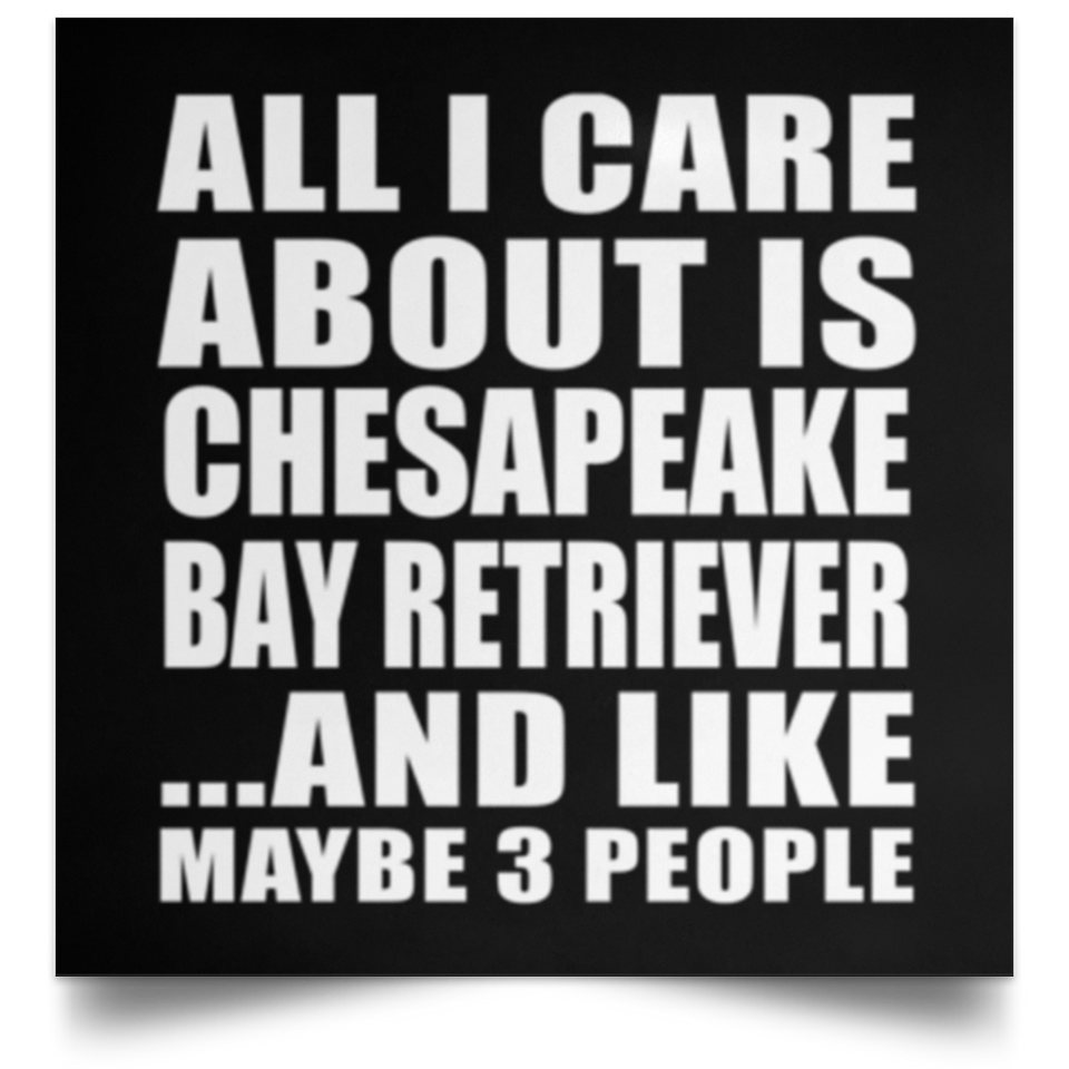 All I Care About Is Chesapeake Bay Retriever - Poster Square