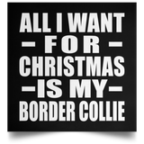 All I Want For Christmas Is My Border Collie - Poster Square