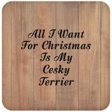 All I Want For Christmas Is My Cesky Terrier - Drink Coaster C