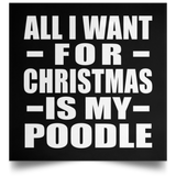 All I Want For Christmas Is My Poodle - Poster Square