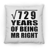 27th Anniversary Square Root of 729 Years of Being Mr Right - Throw Pillow