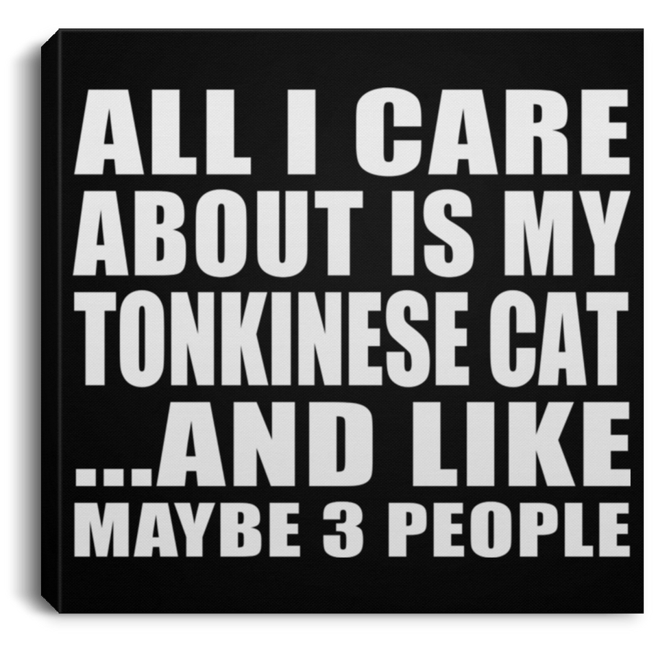 All I Care About Is My Tonkinese Cat - Canvas Square