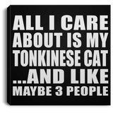 All I Care About Is My Tonkinese Cat - Canvas Square