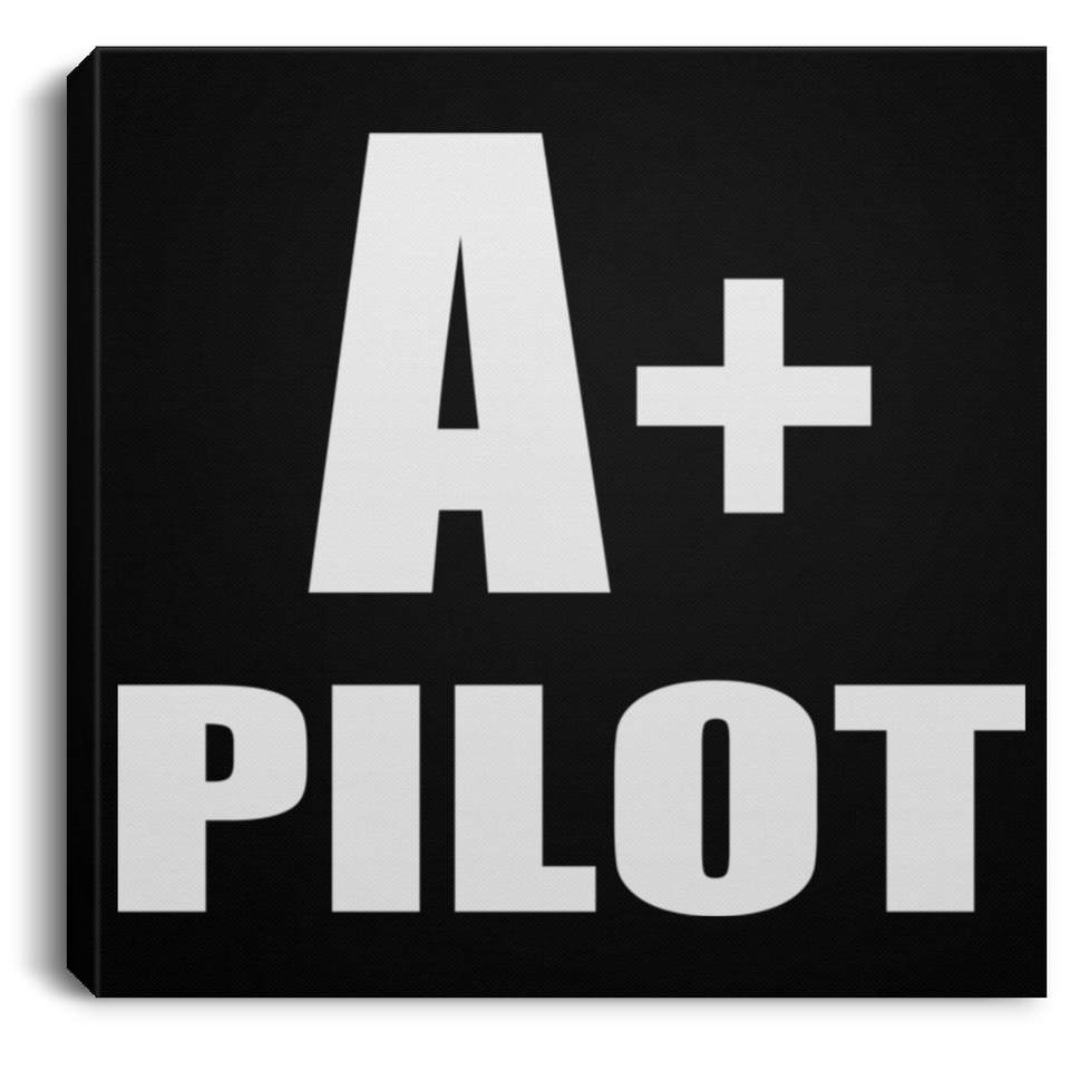 A+ Pilot - Canvas Square