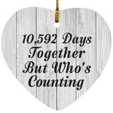 29th Anniversary 10,592 Days Together Who's Counting - Heart Ornament F