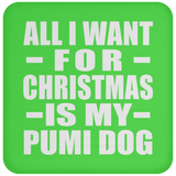 All I Want For Christmas Is My Pumi Dog - Coaster