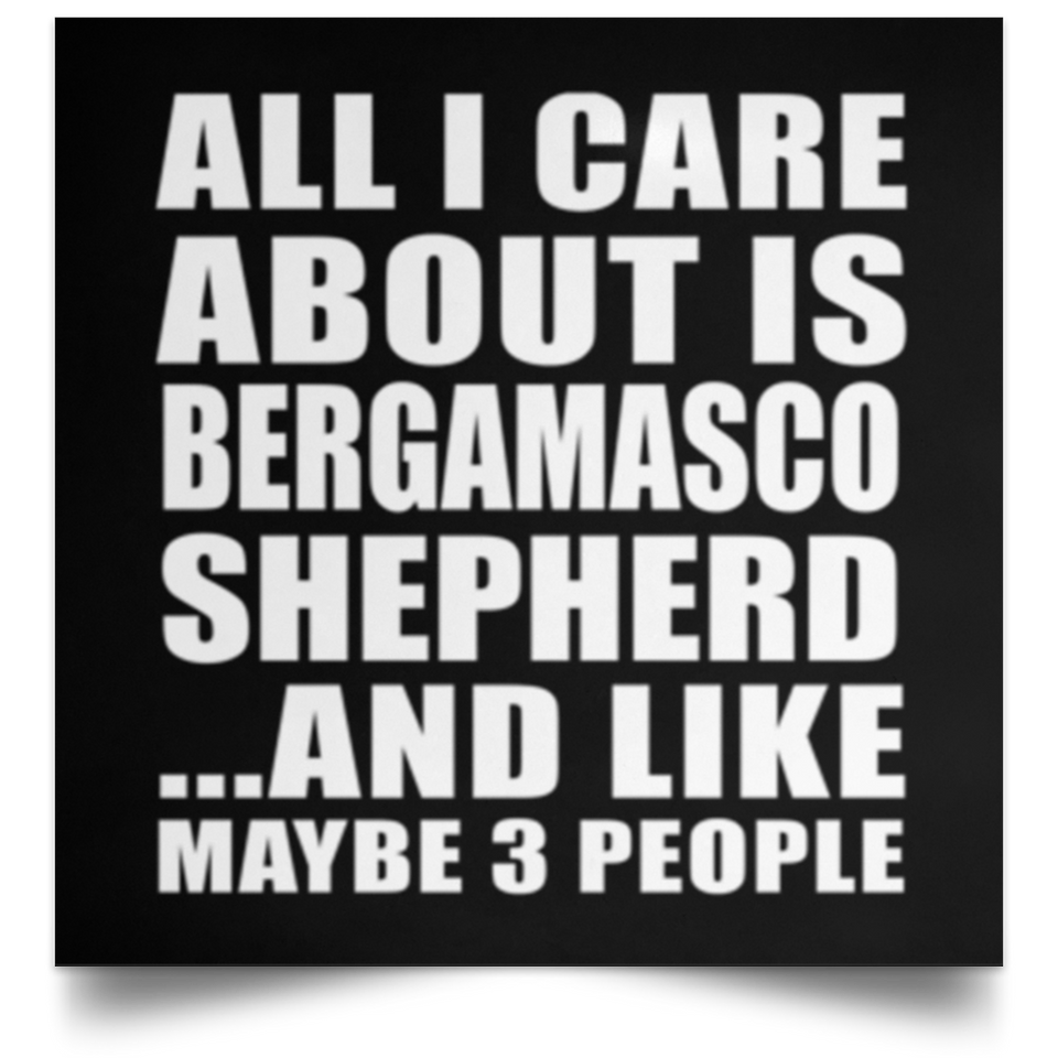 All I Care About Is Bergamasco Shepherd - Poster Square