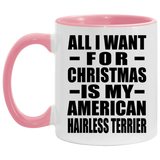 All I Want For Christmas Is My American Hairless Terrier - 11oz Accent Mug Pink