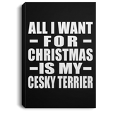 All I Want For Christmas Is My Cesky Terrier - Canvas Portrait