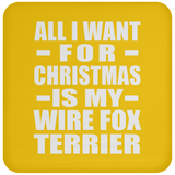 All I Want For Christmas Is My Wire Fox Terrier - Coaster