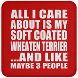 All I Care About Is My Soft Coated Wheaten Terrier - Drink Coaster