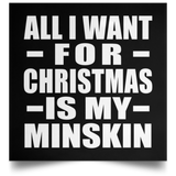 All I Want For Christmas Is My Minskin - Poster Square