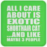 All I Care About Is Exotic Shorthair Cat - Drink Coaster