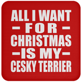 All I Want For Christmas Is My Cesky Terrier - Coaster