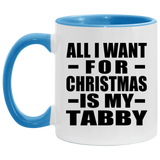 All I Want For Christmas Is My Tabby - 11oz Accent Mug Blue