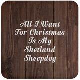 All I Want For Christmas Is My Shetland Sheepdog - Drink Coaster D