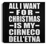 All I Want For Christmas Is My Cirneco Dell'etna - Canvas Square