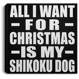 All I Want For Christmas Is My Shikoku Dog - Canvas Square