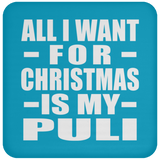 All I Want For Christmas Is My Puli - Coaster