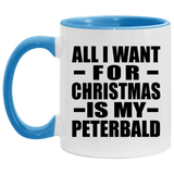 All I Want For Christmas Is My Peterbald - 11oz Accent Mug Blue
