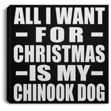 All I Want For Christmas Is My Chinook Dog - Canvas Square