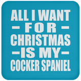 All I Want For Christmas Is My Cocker Spaniel - Coaster