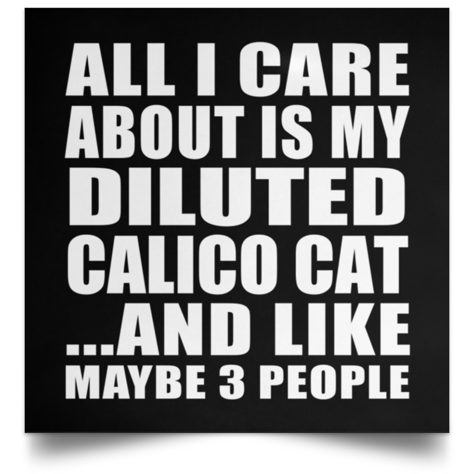 All I Care About Is My Diluted Calico Cat - Poster Square