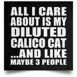 All I Care About Is My Diluted Calico Cat - Poster Square
