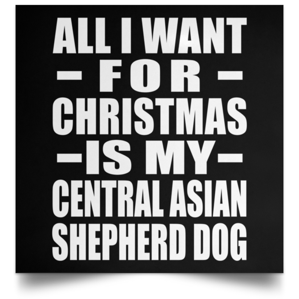 All I Want For Christmas Is My Central Asian Shepherd Dog - Poster Square