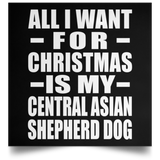 All I Want For Christmas Is My Central Asian Shepherd Dog - Poster Square
