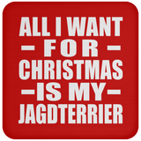 All I Want For Christmas Is My Jagdterrier - Coaster