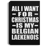 All I Want For Christmas Is My Belgian Laekenois - Canvas Portrait